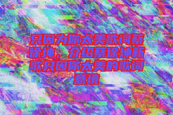 只因為你太美歌詞蔡徐坤，介紹蔡徐坤新歌只因你太美的歌詞意境