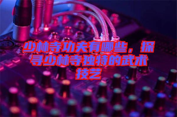少林寺功夫有哪些，探尋少林寺獨特的武術技藝