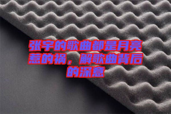 張宇的歌曲都是月亮惹的禍，解歌曲背后的深意
