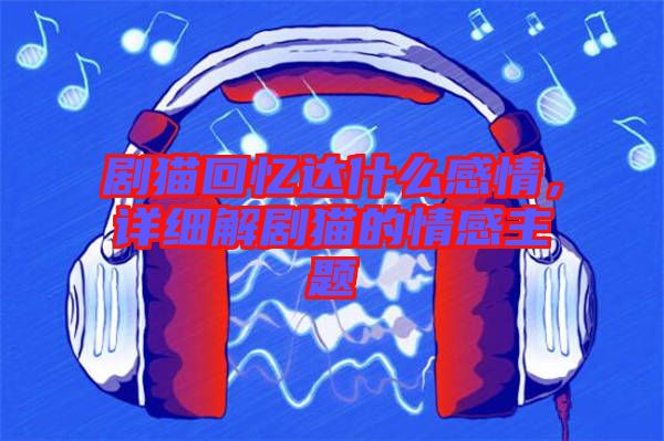 劇貓回憶達什么感情，詳細解劇貓的情感主題