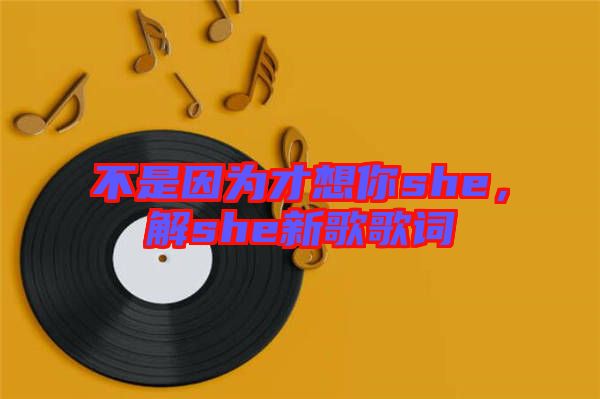 不是因為才想你she，解she新歌歌詞