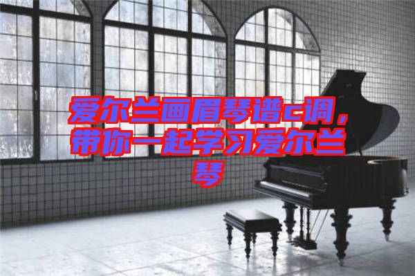 愛爾蘭畫眉琴譜c調，帶你一起學習愛爾蘭琴