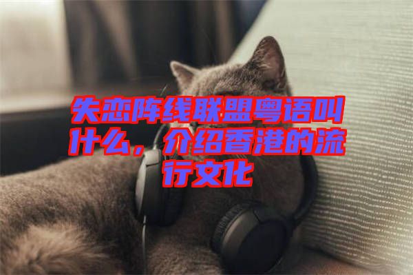 失戀陣線聯盟粵語叫什么，介紹香港的流行文化