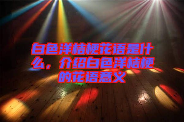 白色洋桔?；ㄕZ是什么，介紹白色洋桔梗的花語意義