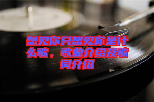 想見你只想見你是什么歌，歌曲介紹及歌詞介紹