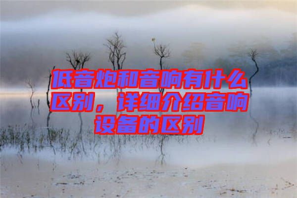 低音炮和音響有什么區別，詳細介紹音響設備的區別