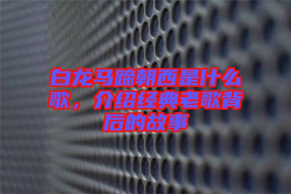 白龍馬蹄朝西是什么歌，介紹經典老歌背后的故事