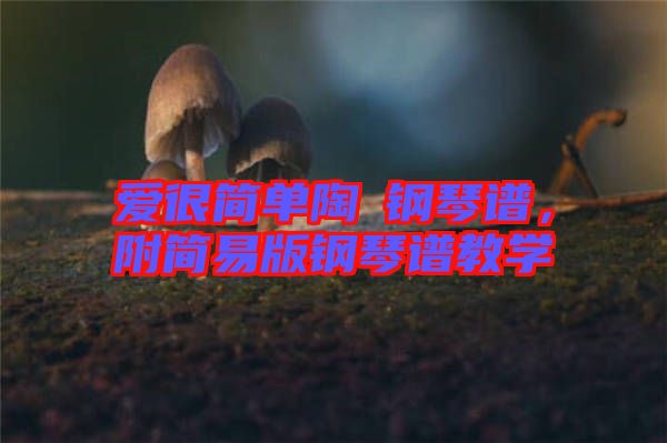 愛很簡單陶喆鋼琴譜，附簡易版鋼琴譜教學(xué)