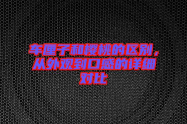 車?yán)遄雍蜋烟业膮^(qū)別，從外觀到口感的詳細(xì)對比