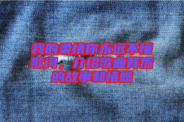 我的柔情你永遠不懂歌詞，介紹歌曲背后的故事和情感