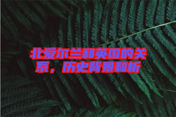 北愛爾蘭和英國的關系，歷史背景和析