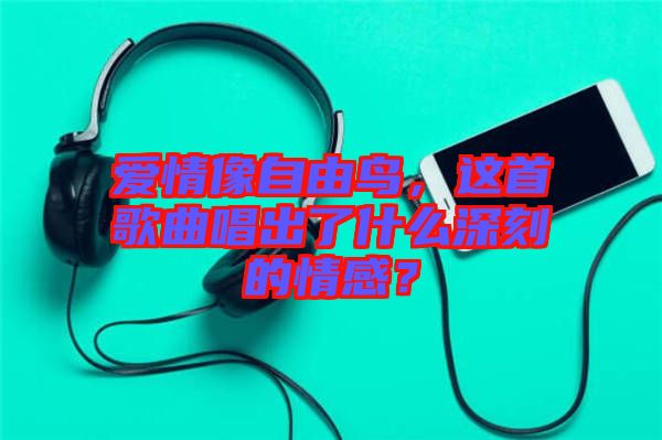 愛情像自由鳥，這首歌曲唱出了什么深刻的情感？