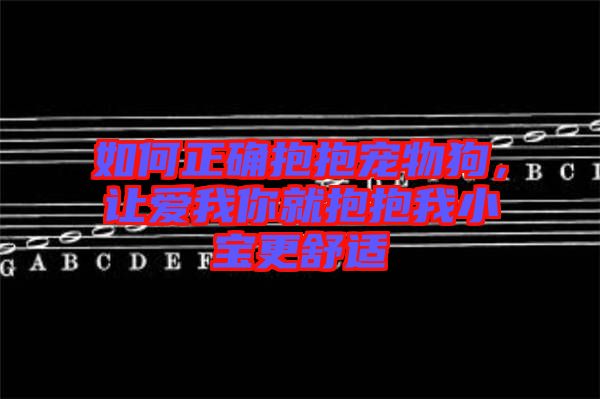 如何正確抱抱寵物狗，讓愛我你就抱抱我小寶更舒適