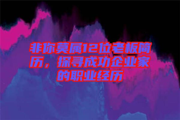 非你莫屬12位老板簡歷，探尋成功企業家的職業經歷