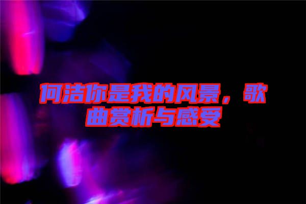 何潔你是我的風景，歌曲賞析與感受