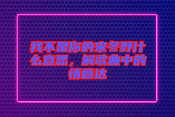 我不是你的宋冬野什么意思，解歌曲中的情感達