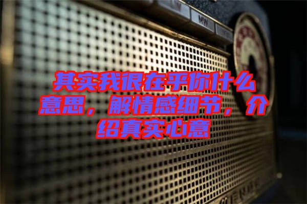 其實我很在乎你什么意思，解情感細(xì)節(jié)，介紹真實心意