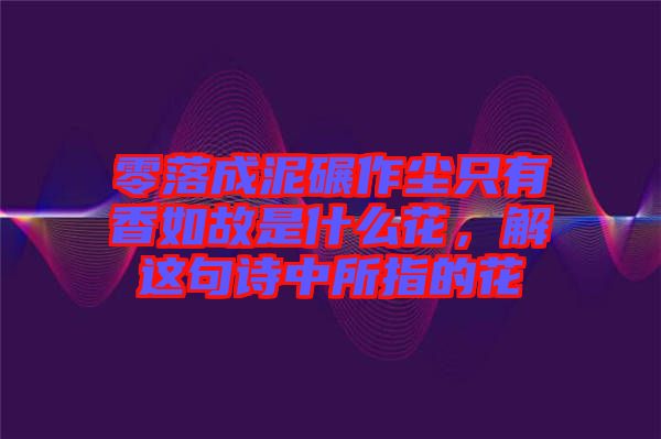 零落成泥碾作塵只有香如故是什么花，解這句詩中所指的花