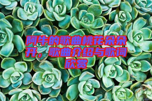阿牛的歌曲桃花朵朵開，歌曲介紹與歌詞欣賞