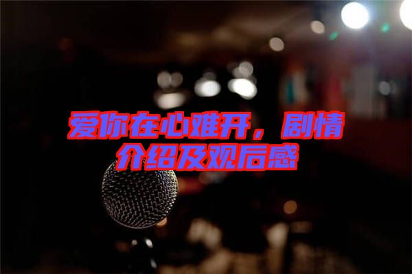 愛你在心難開，劇情介紹及觀后感