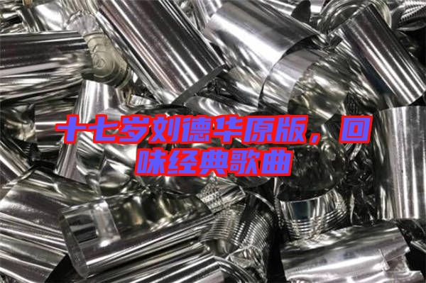 十七歲劉德華原版，回味經典歌曲