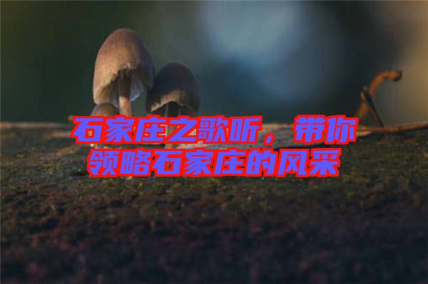 石家莊之歌聽(tīng)，帶你領(lǐng)略石家莊的風(fēng)采