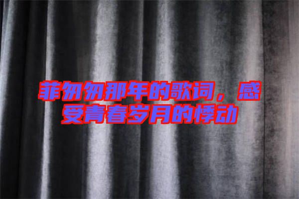 菲匆匆那年的歌詞，感受青春歲月的悸動