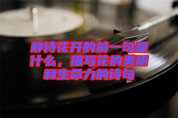 靜待花開的前一句是什么，描寫花的美麗和生命力的詩句