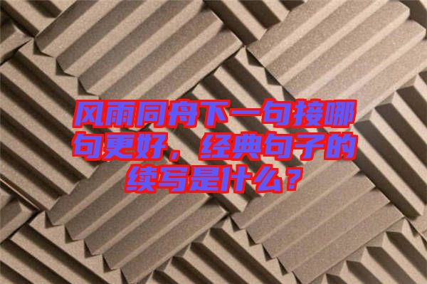 風雨同舟下一句接哪句更好，經典句子的續寫是什么？