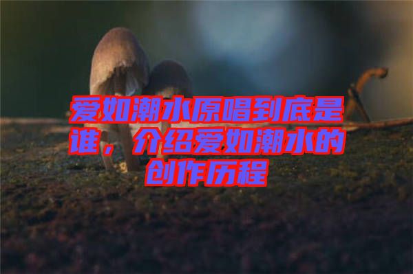愛如潮水原唱到底是誰，介紹愛如潮水的創作歷程