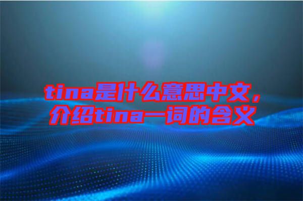 tina是什么意思中文，介紹tina一詞的含義