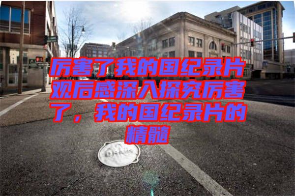 厲害了我的國(guó)紀(jì)錄片觀后感深入探究厲害了，我的國(guó)紀(jì)錄片的精髓