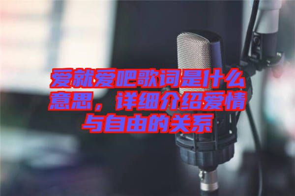 愛就愛吧歌詞是什么意思，詳細(xì)介紹愛情與自由的關(guān)系