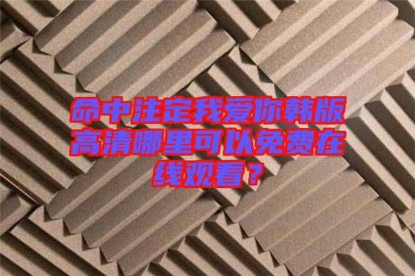命中注定我愛你韓版高清哪里可以免費在線觀看？