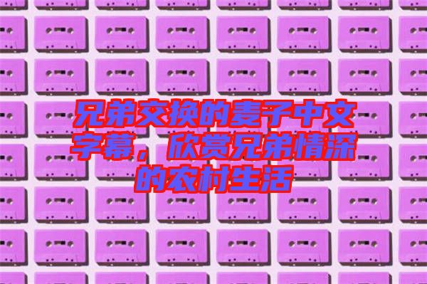 兄弟交換的麥子中文字幕，欣賞兄弟情深的農村生活