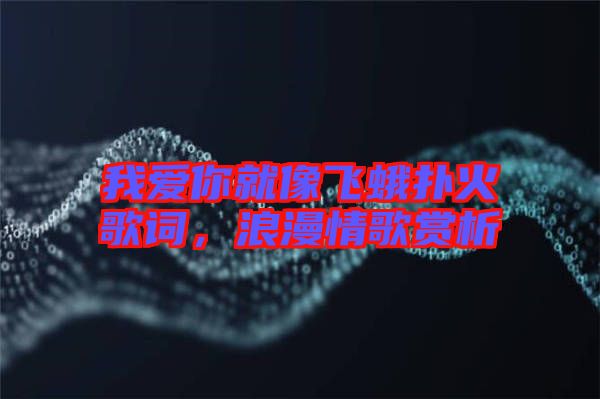 我愛你就像飛蛾撲火歌詞，浪漫情歌賞析