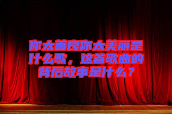 你太善良你太美麗是什么歌，這首歌曲的背后故事是什么？