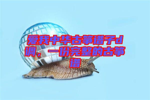 愛我中華古箏譜子d調，一份完整的古箏譜