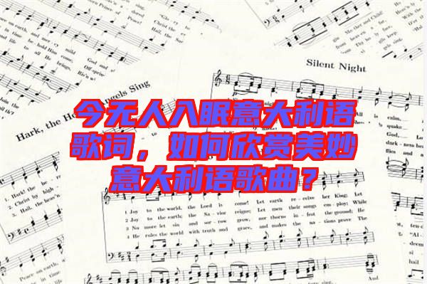 今無人入眠意大利語歌詞，如何欣賞美妙意大利語歌曲？