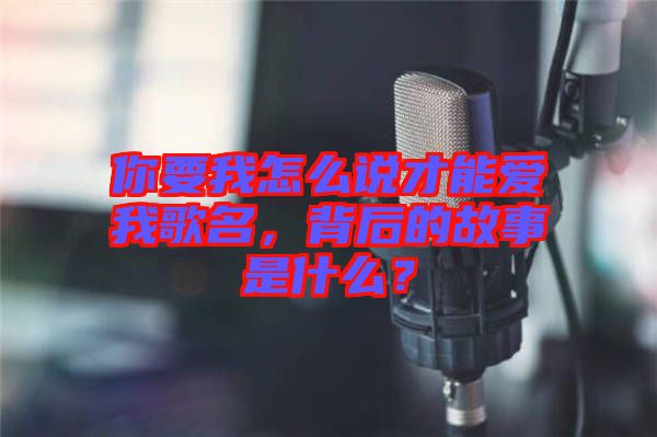 你要我怎么說才能愛我歌名，背后的故事是什么？
