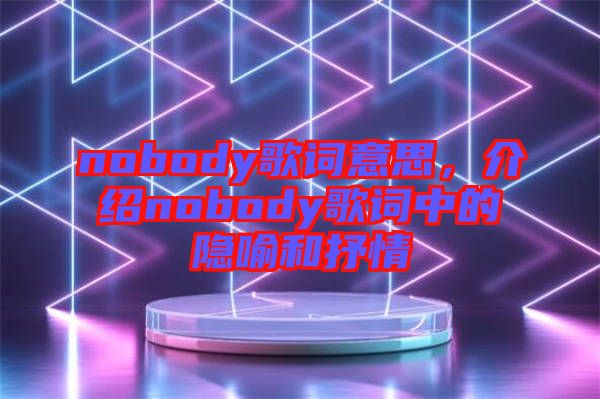 nobody歌詞意思，介紹nobody歌詞中的隱喻和抒情