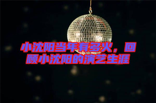 小沈陽當(dāng)年有多火，回顧小沈陽的演藝生涯