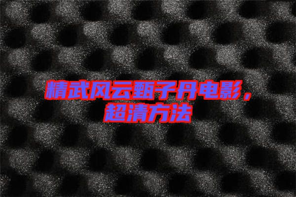 精武風云甄子丹電影，超清方法