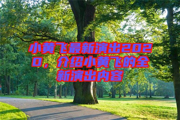 小黃飛最新演出2020，介紹小黃飛的全新演出內容