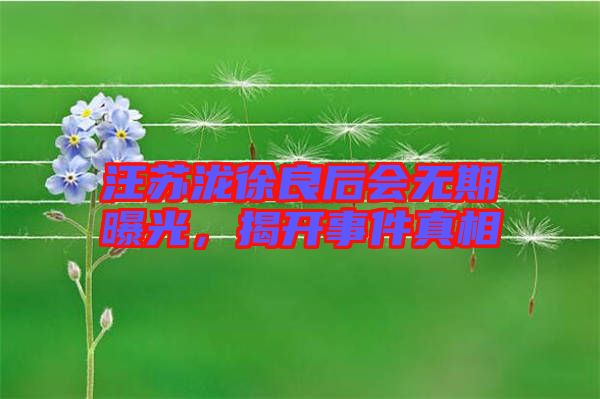 汪蘇瀧徐良后會無期曝光，揭開事件真相