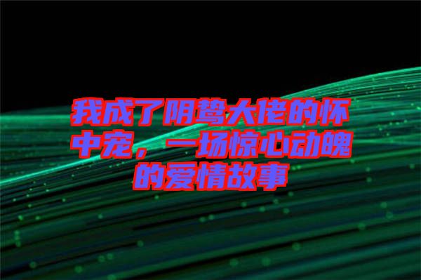 我成了陰鷙大佬的懷中寵，一場(chǎng)驚心動(dòng)魄的愛情故事