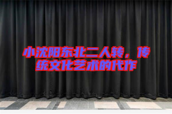 小沈陽東北二人轉，傳統文化藝術的代作