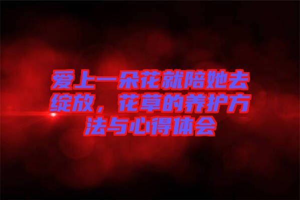 愛上一朵花就陪她去綻放，花草的養護方法與心得體會