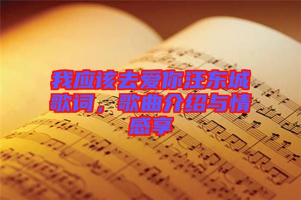 我應該去愛你汪東城歌詞，歌曲介紹與情感享