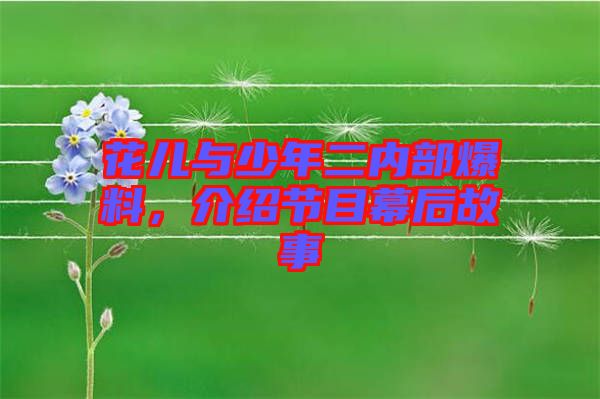 花兒與少年二內部爆料，介紹節目幕后故事